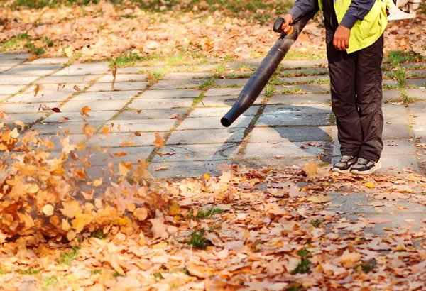 Leaf Blowing
