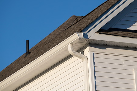 Gutter cleaning
